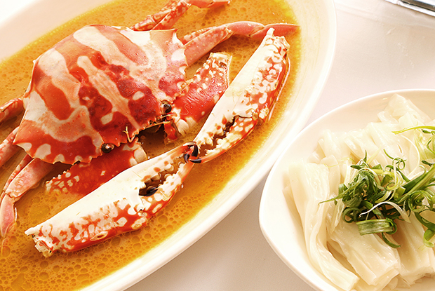 Chariman-ASIA-2019-DISH1